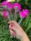 Cowboy Disco Ball Stir Stirrers – Nashville Bachelorette or Bar Cart Party Accessories