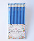 Personalized Name Pencils – Set of 12 with Gold Foil Engraving